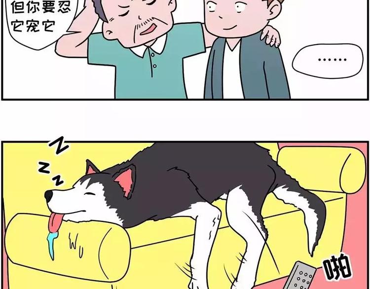 自己养的宝贝，哭着也要宠完3