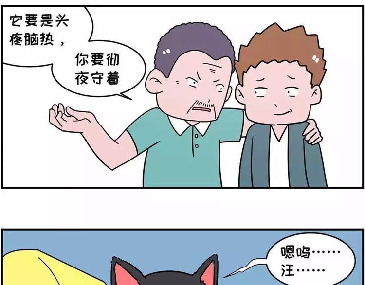 自己养的宝贝，哭着也要宠完5