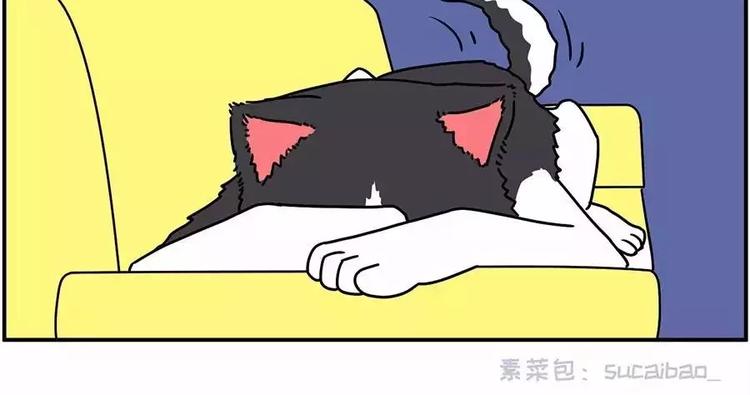 自己养的宝贝，哭着也要宠完9