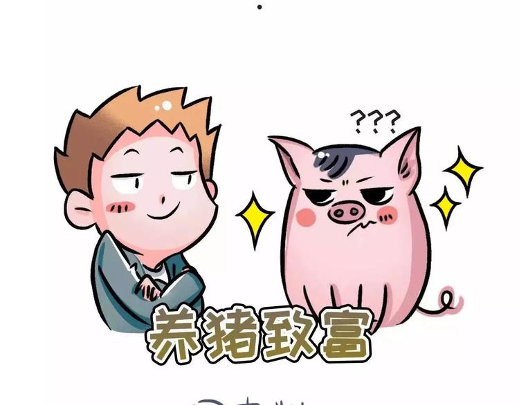 想知道养什么宠物最好吗!!3