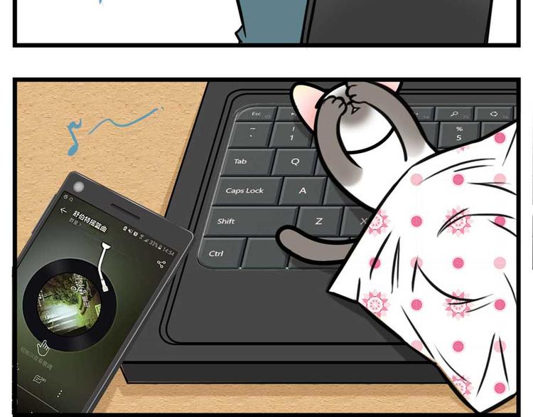 我们猫奴就是这样的！13