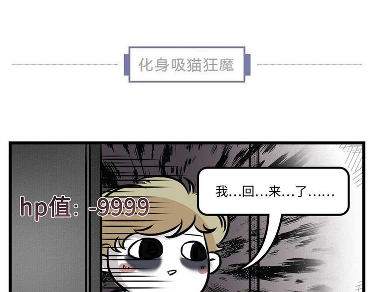 我们猫奴就是这样的！19