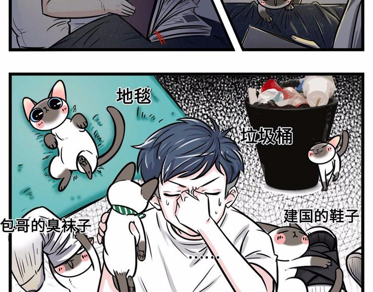 我们猫奴就是这样的！27
