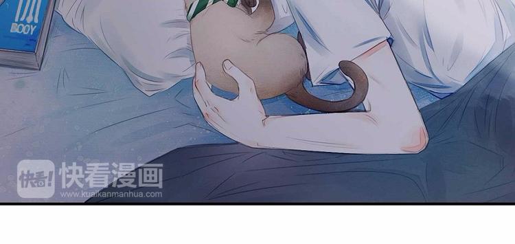 我们猫奴就是这样的！30