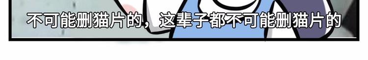 我们猫奴就是这样的！6
