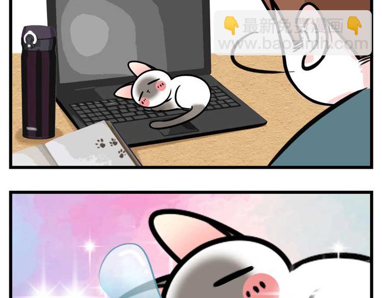 我们猫奴就是这样的！9