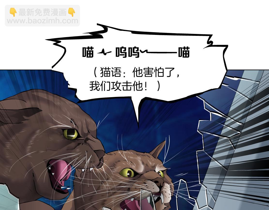 133【决战篇】黑则武知道啦！62
