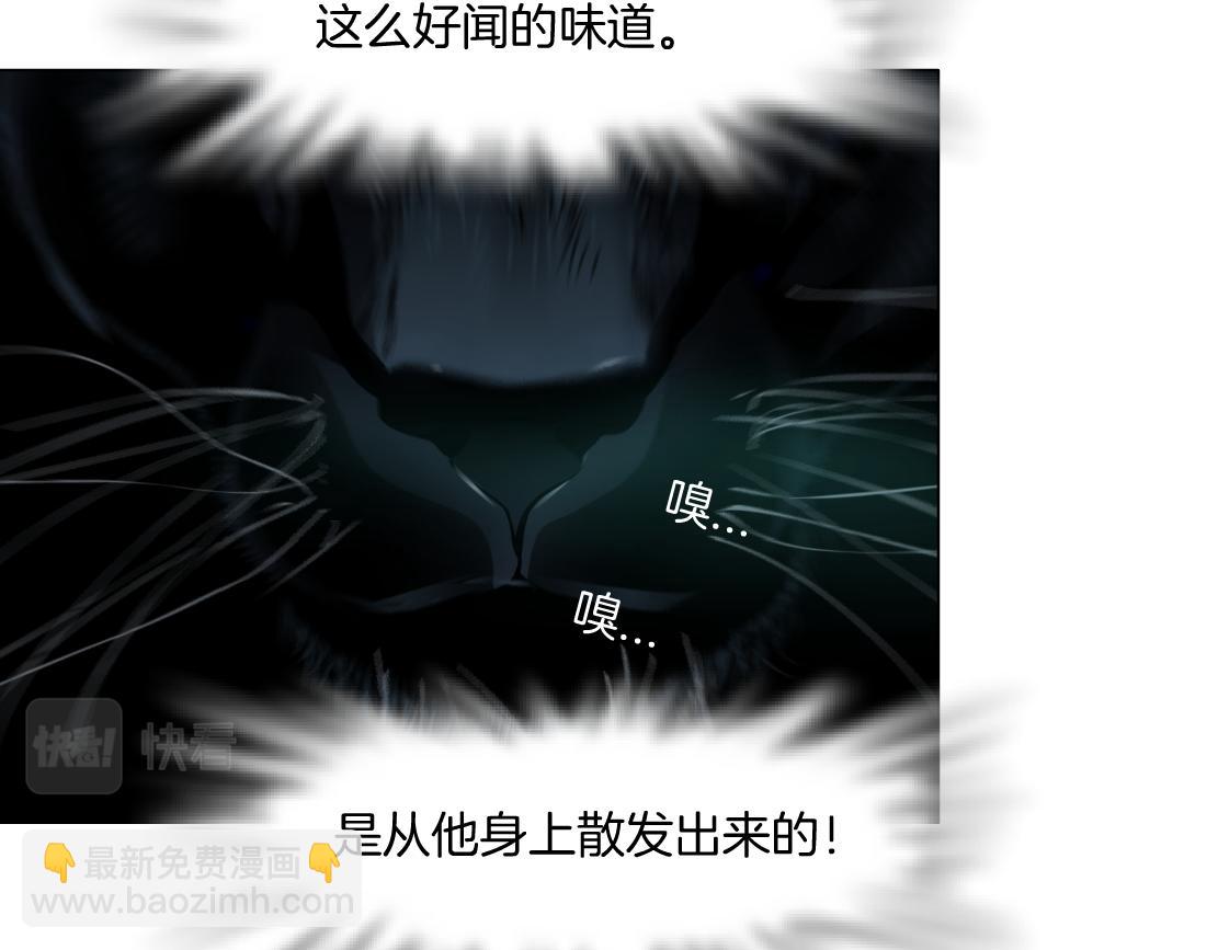 134【决战篇】把小白带走！54