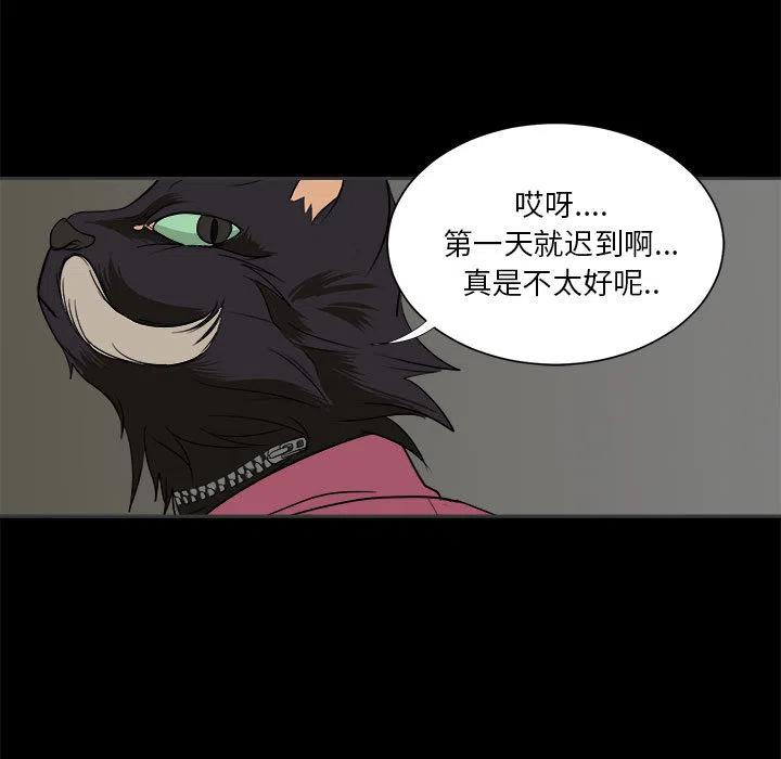 244