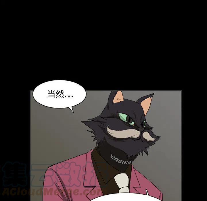 255