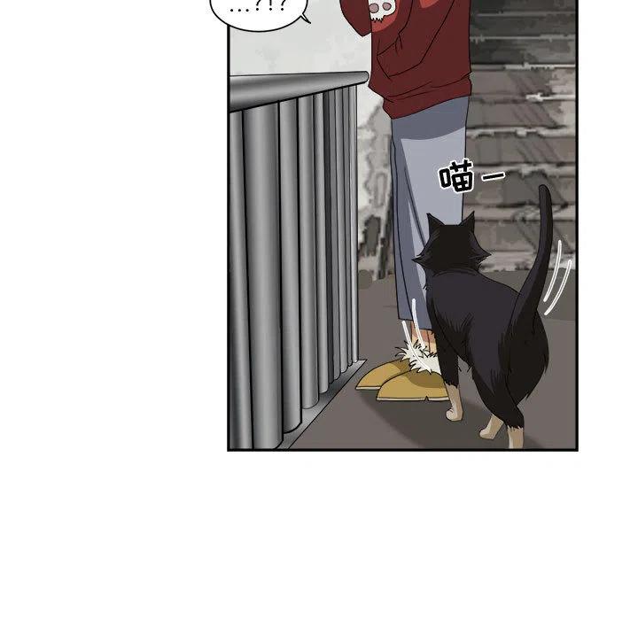 2494