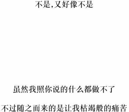 第55回15