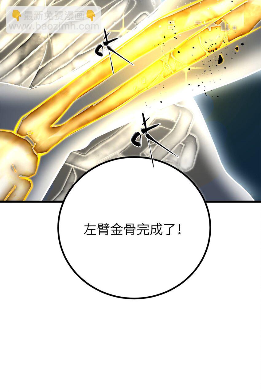 244 金骨蜕变15