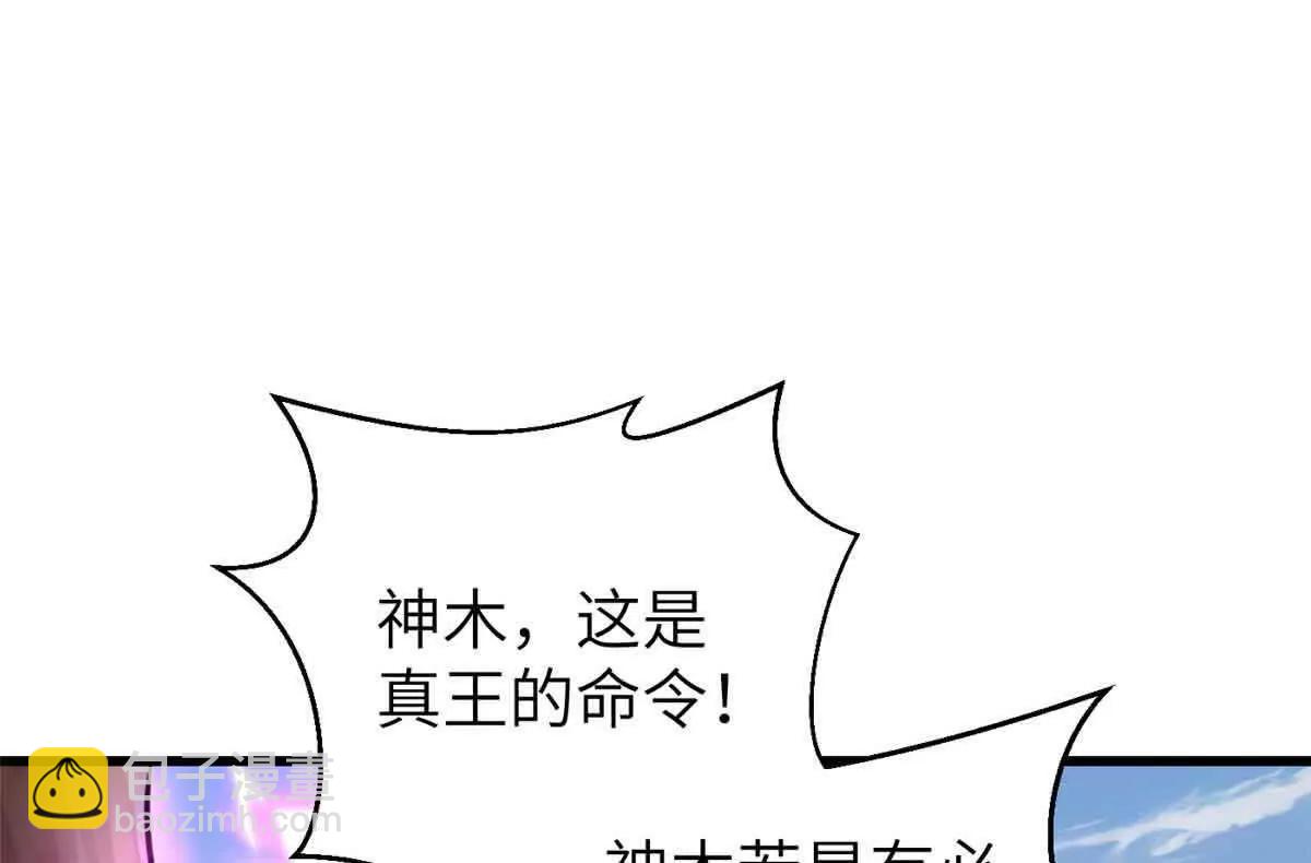 293 高品大战3