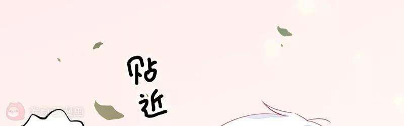 第5话  我看到了，你的胖次！5