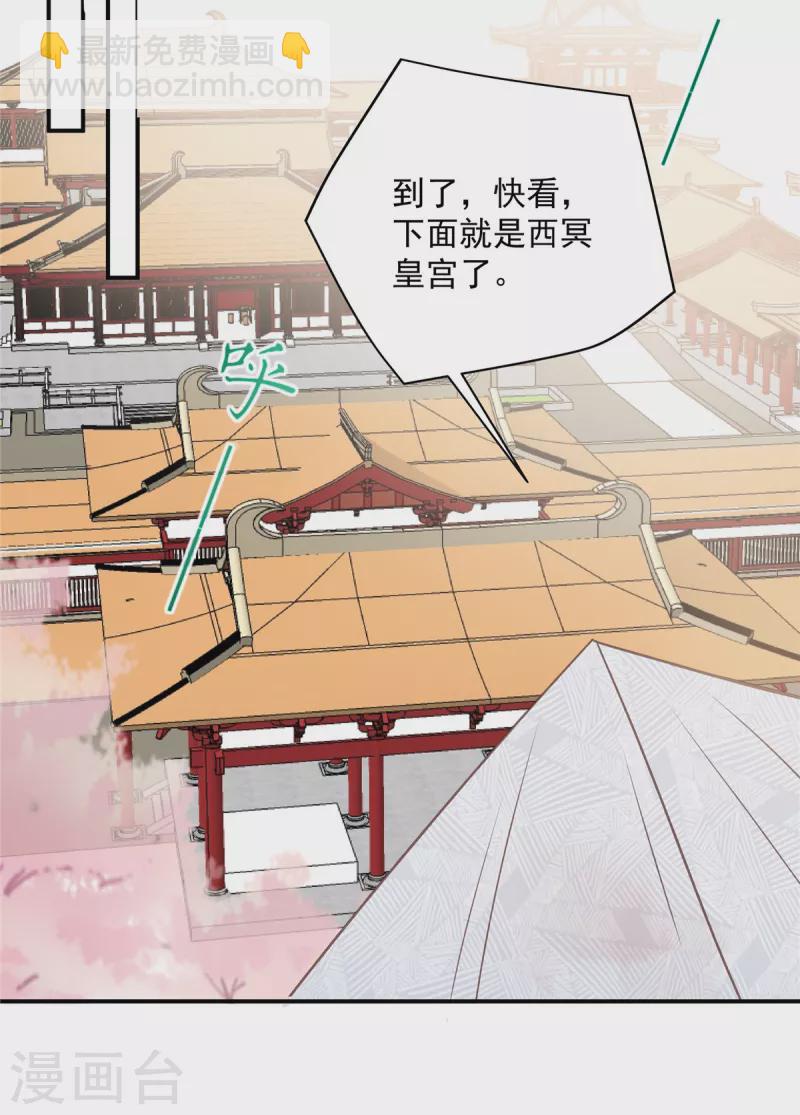 第161话 自由飞翔19
