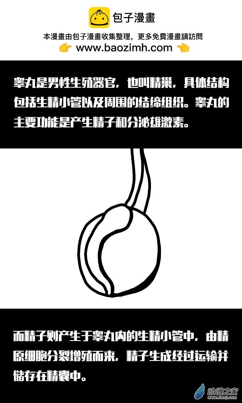 第555话1