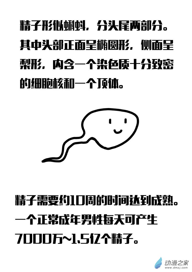 第555话2