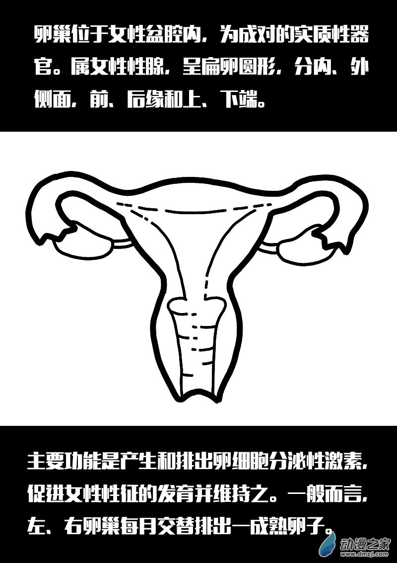 第555话3