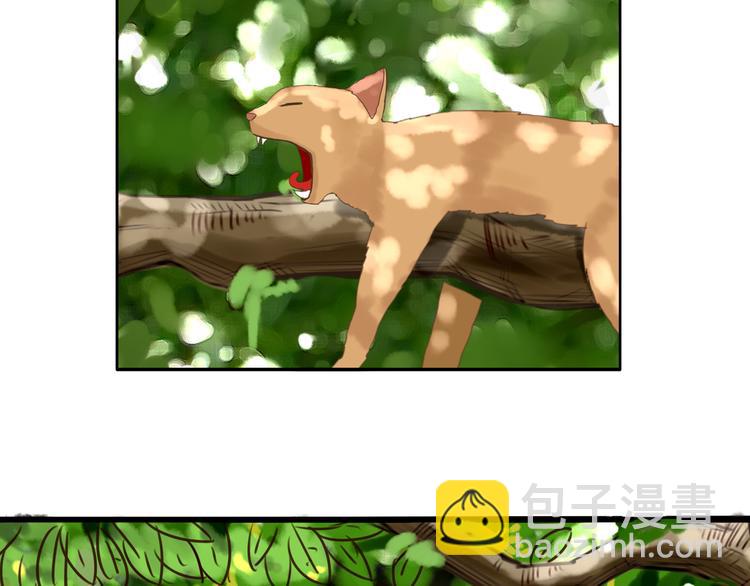 第47话 晒太阳就会死37