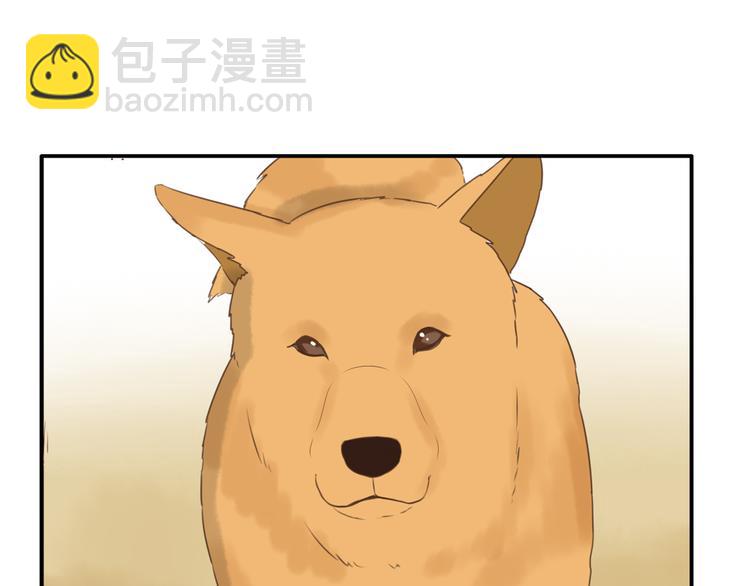 第47话 晒太阳就会死58