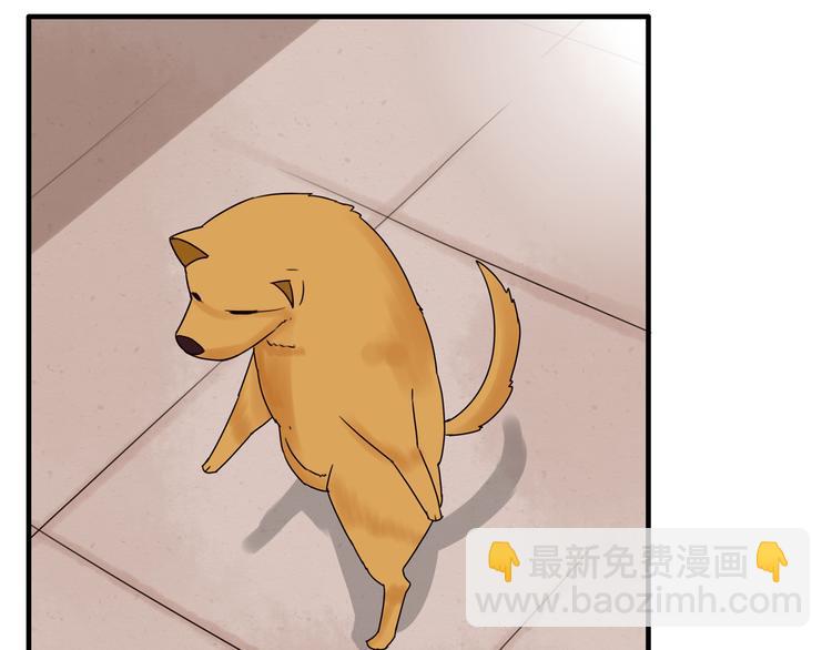 番外 虐狗记5