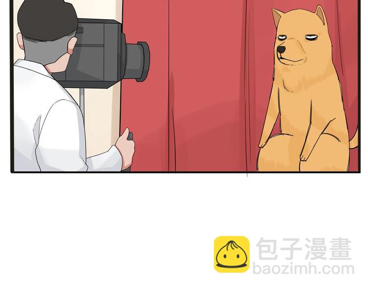 停更小番外【kula办证记】13