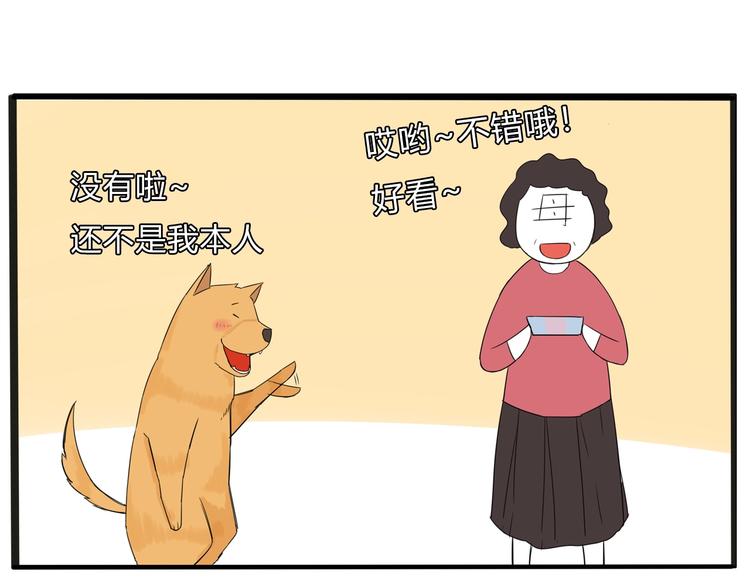 停更小番外【kula办证记】21