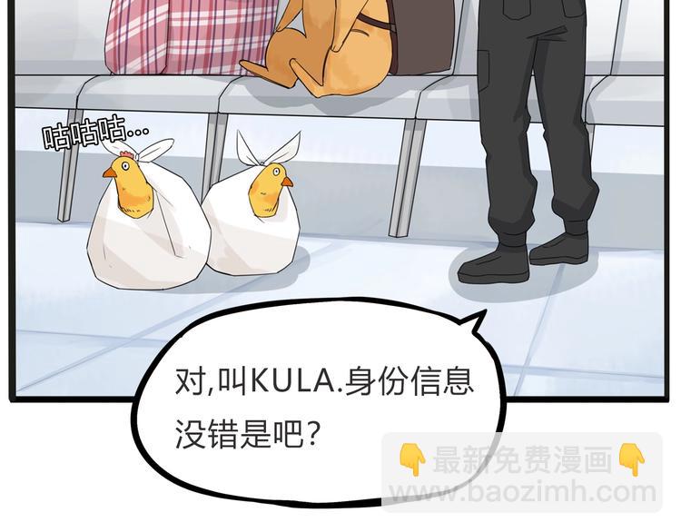 停更小番外【kula办证记】26