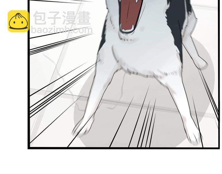 第177话  走失真相230