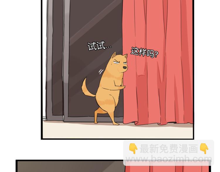 第198话 偶像选拔篇863