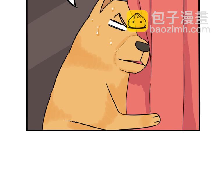 第198话 偶像选拔篇868