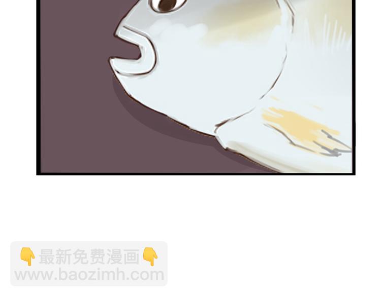 第215话  偶像选拔篇2567