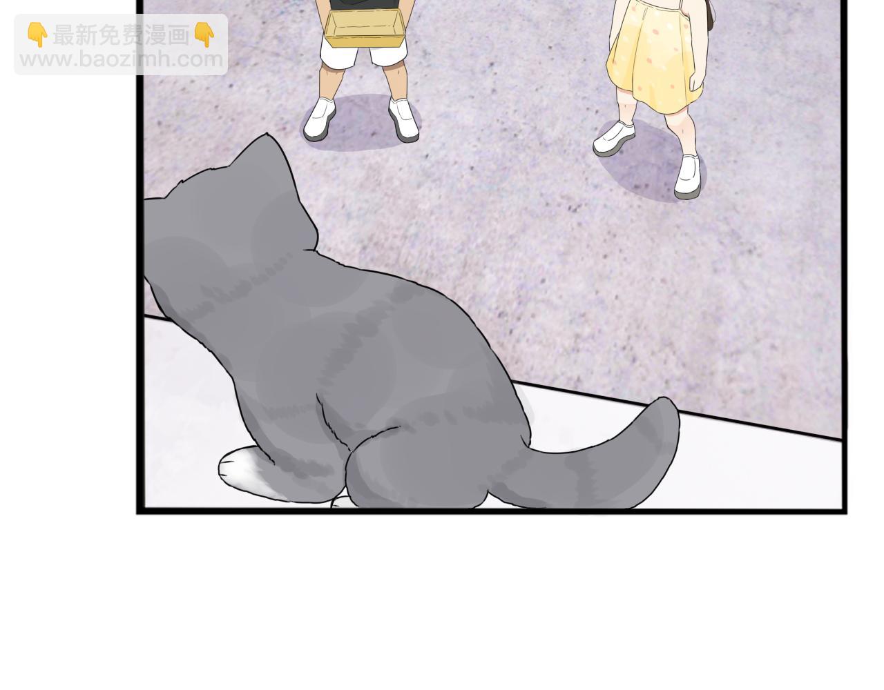 第257话 拯救小猫!10