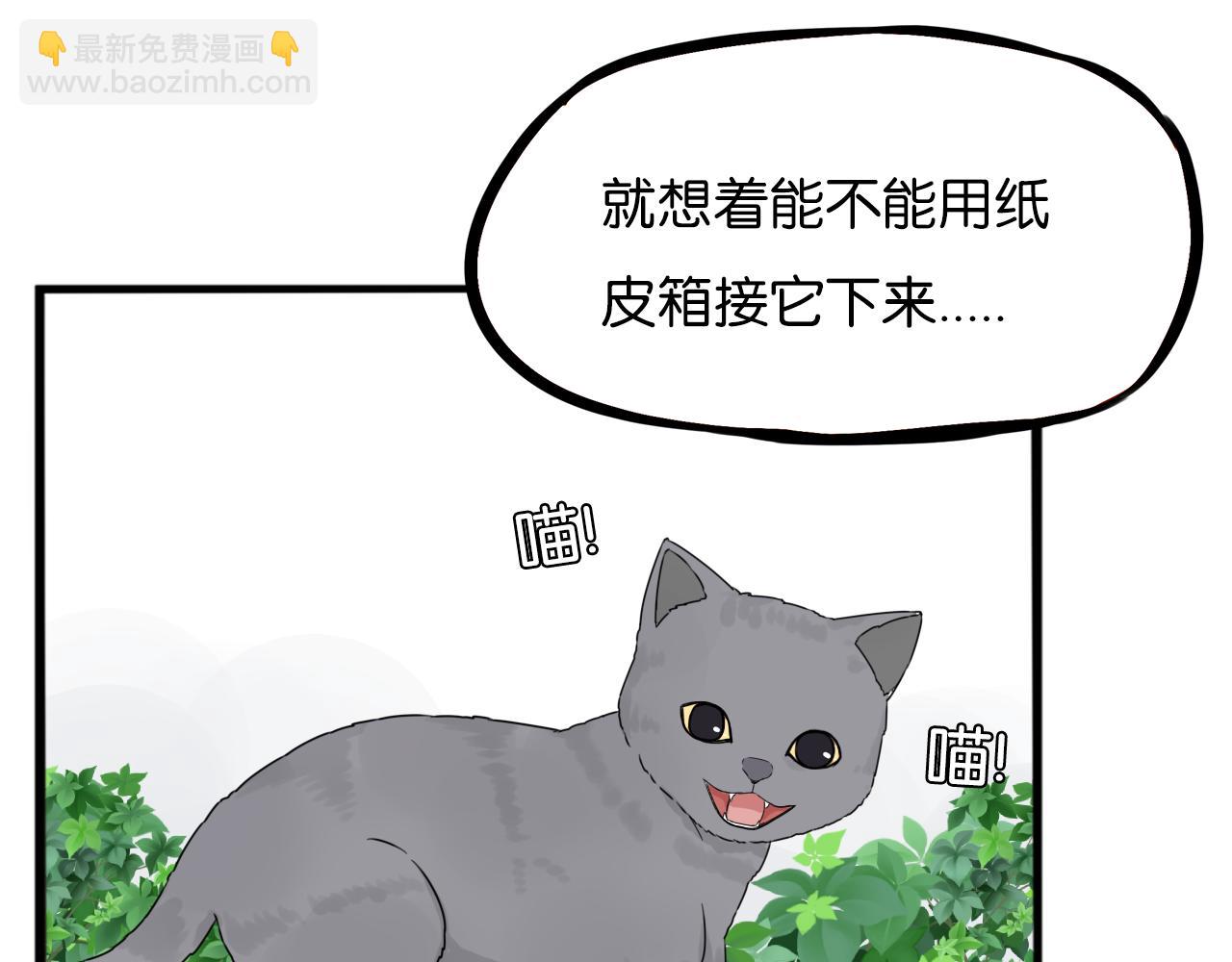 第257话 拯救小猫!11