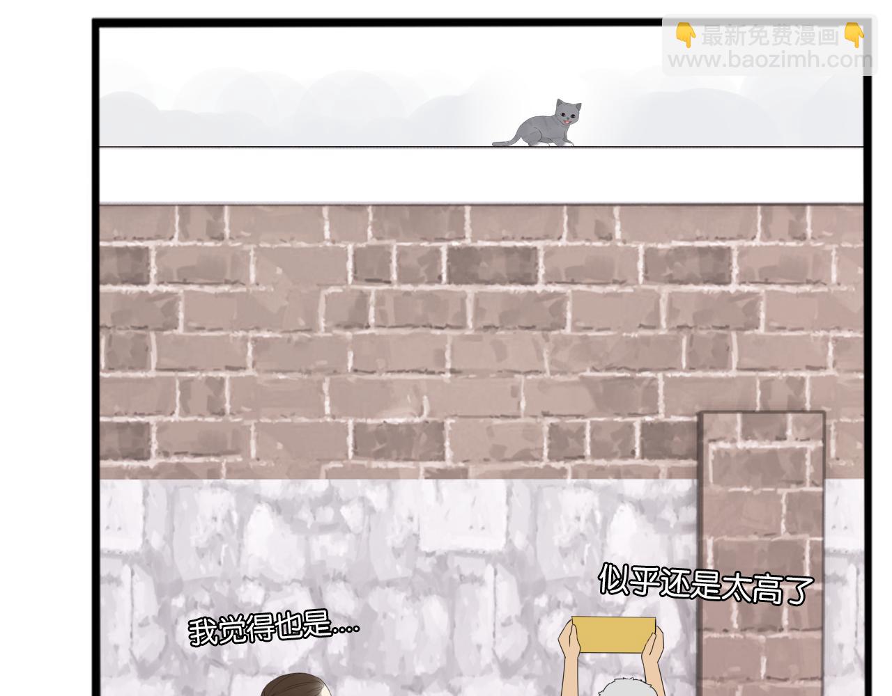第257话 拯救小猫!13