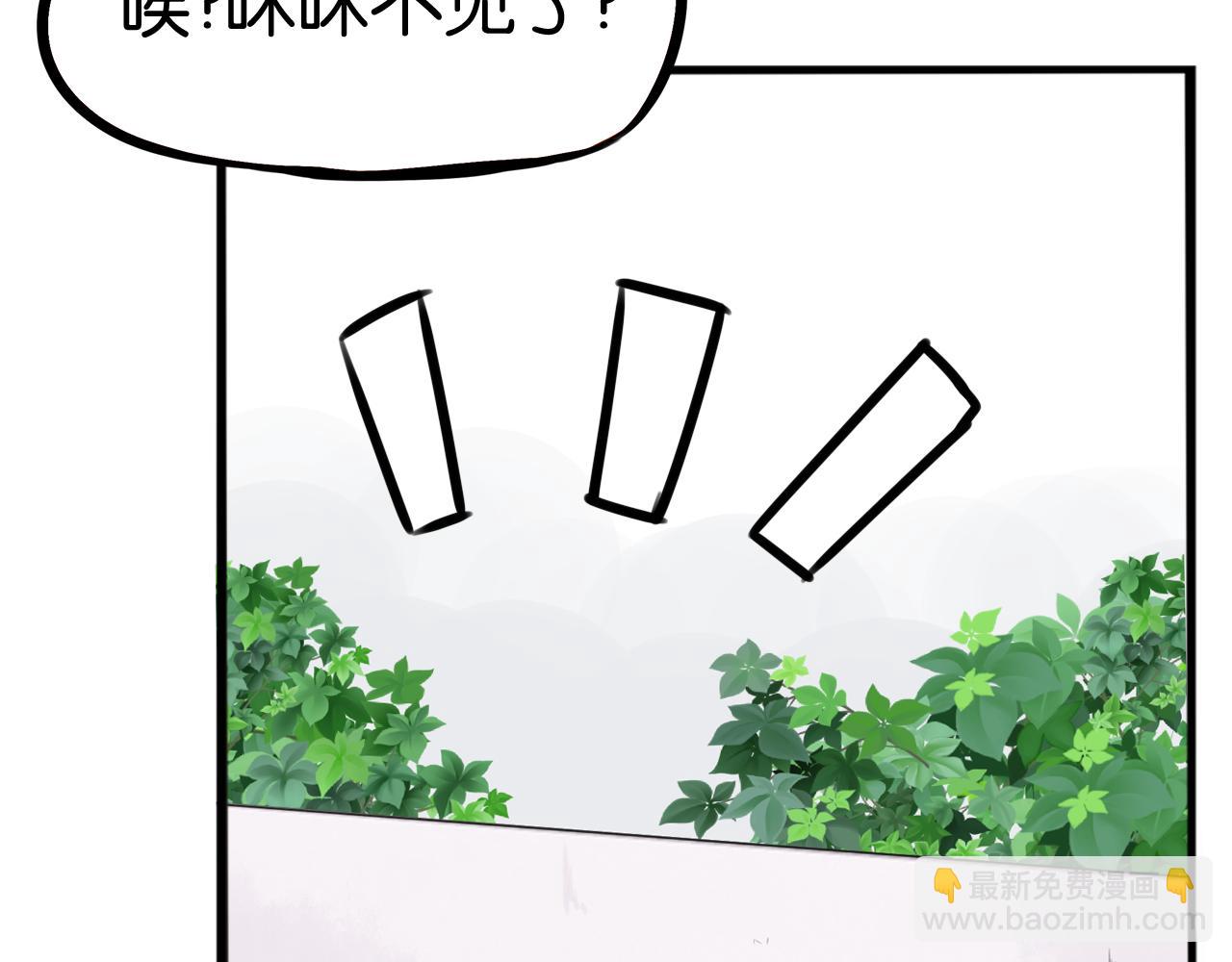 第257话 拯救小猫!37