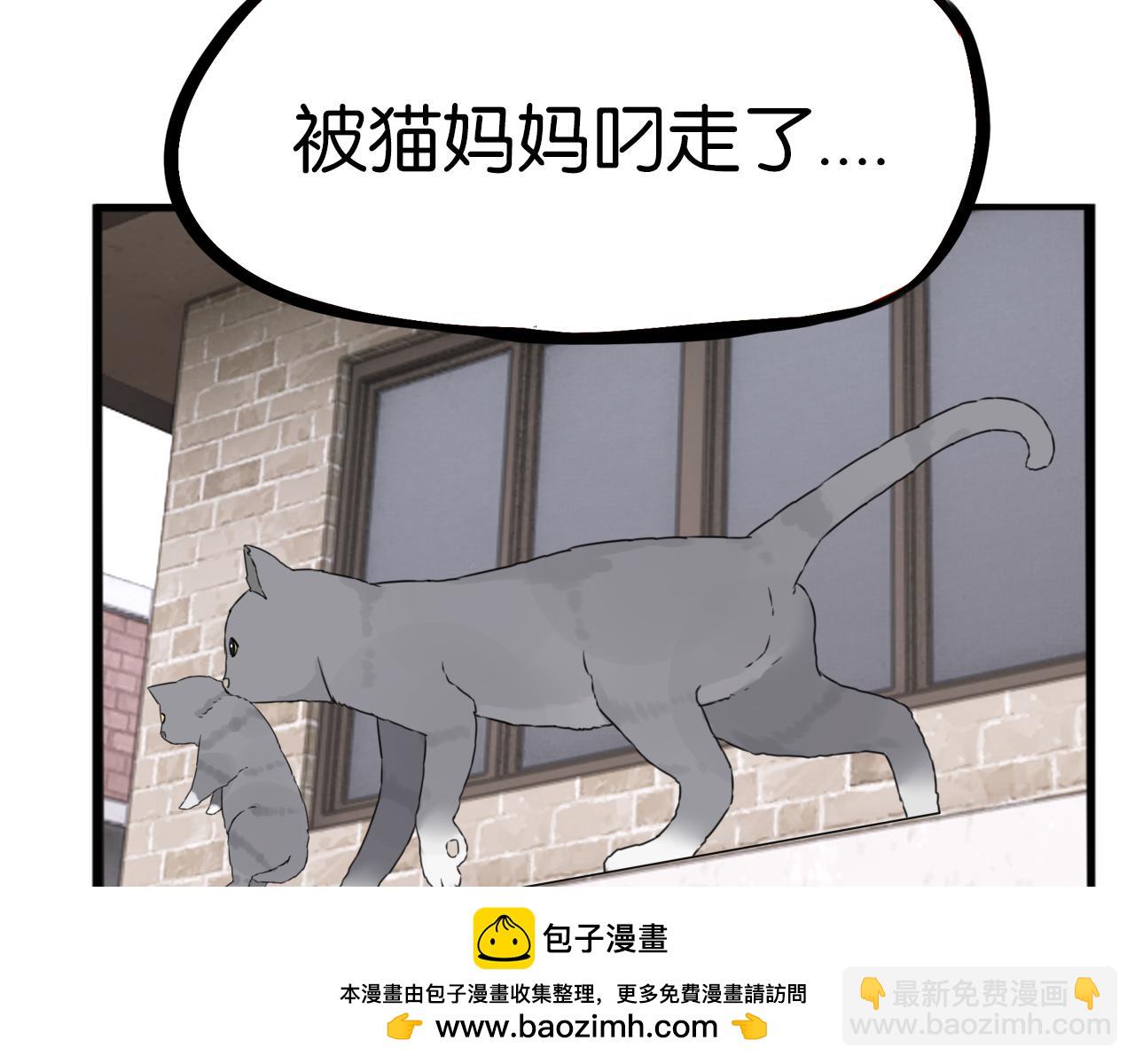 第257话 拯救小猫!91