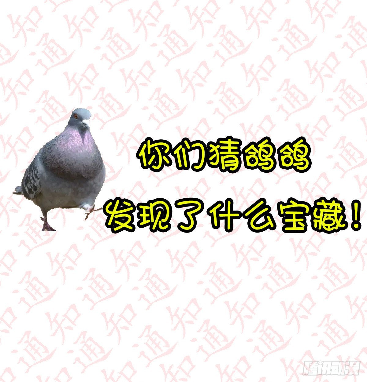 连更第一天69