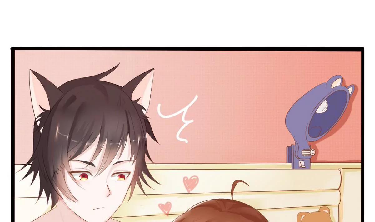 第6话 逛街溜猫16