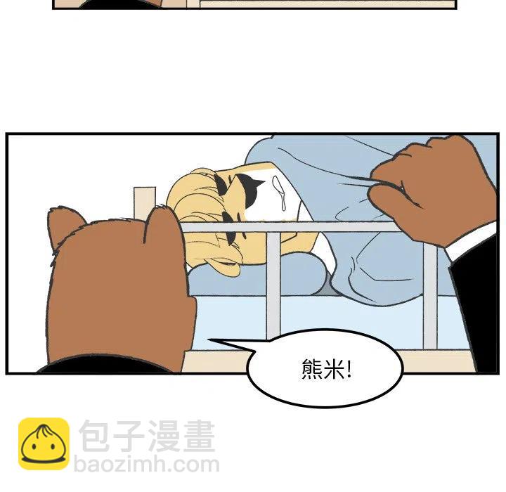 4123