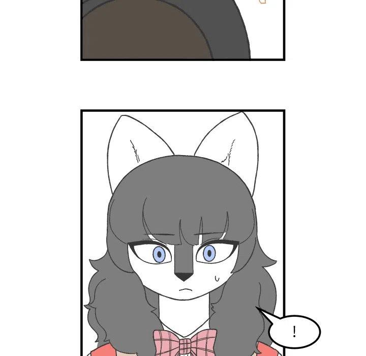 6428