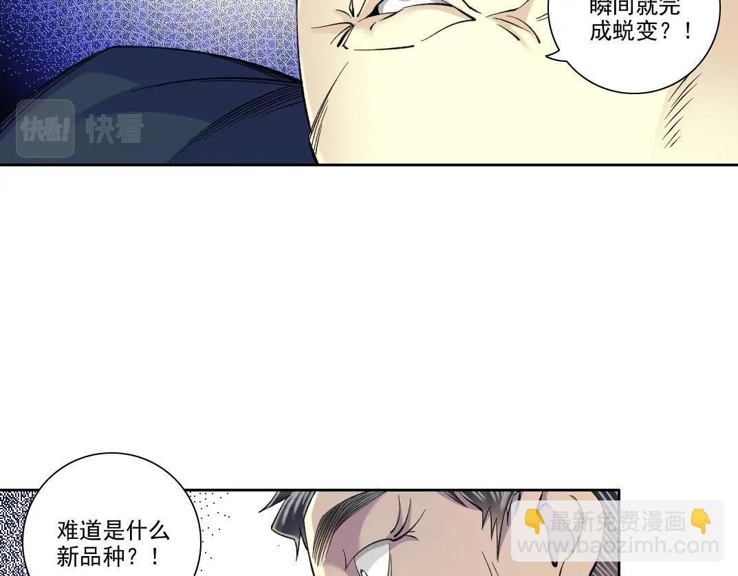 第90话 创世的拼图10