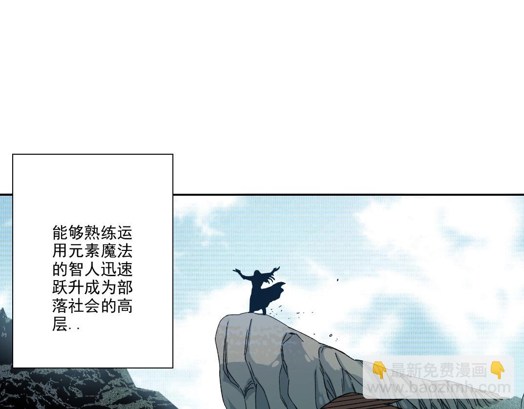 第216话 观赏鱼5