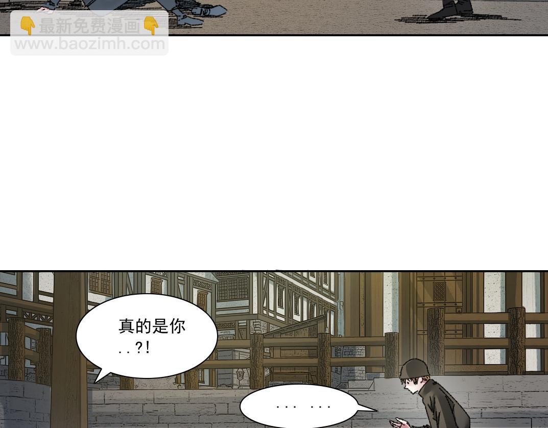 狸猫换太子12