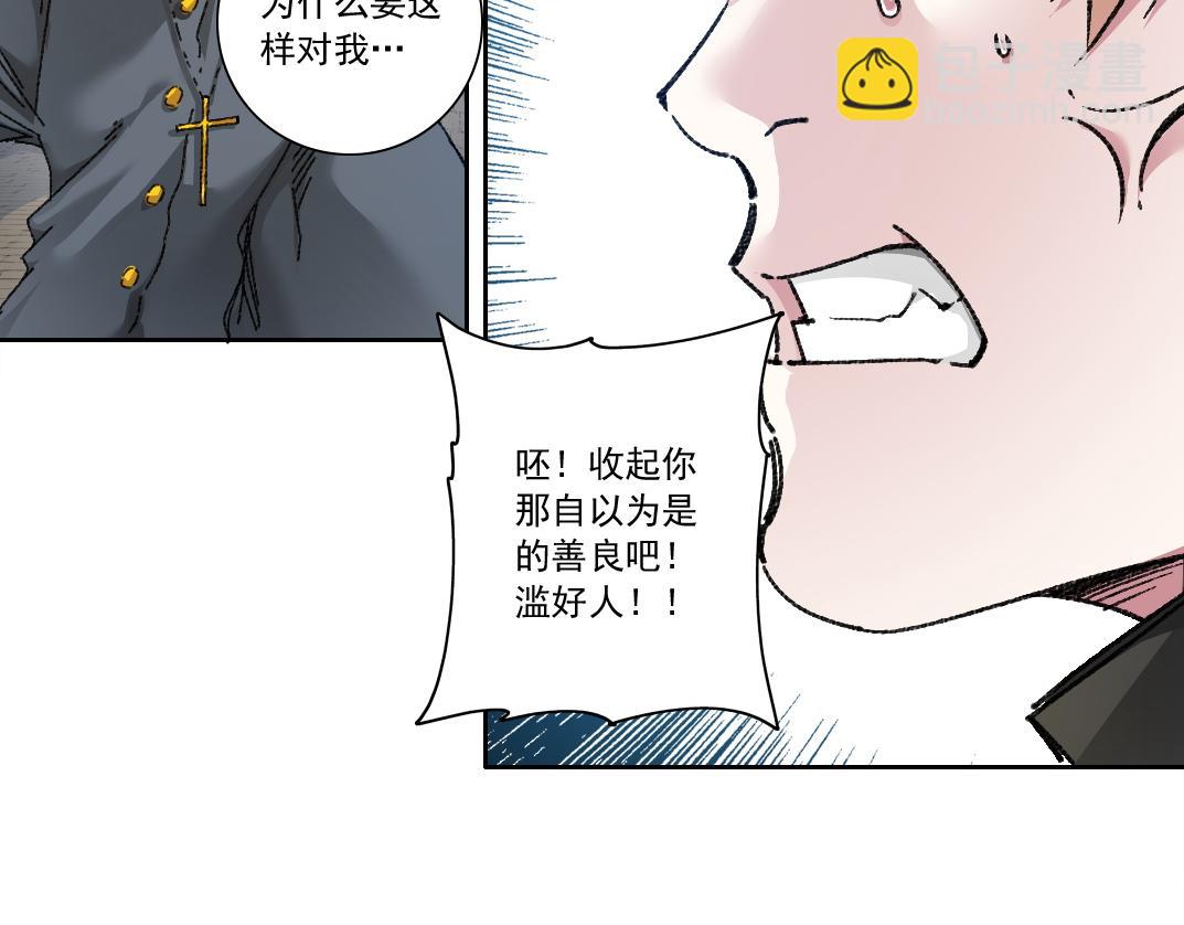 狸猫换太子19