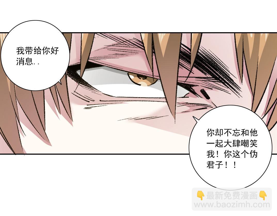 狸猫换太子22