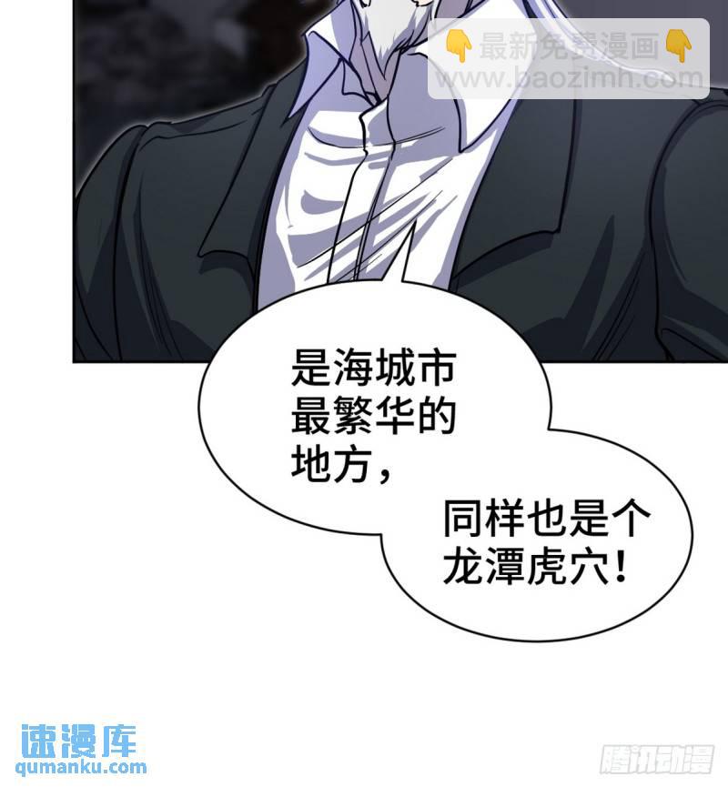166 海城危机20