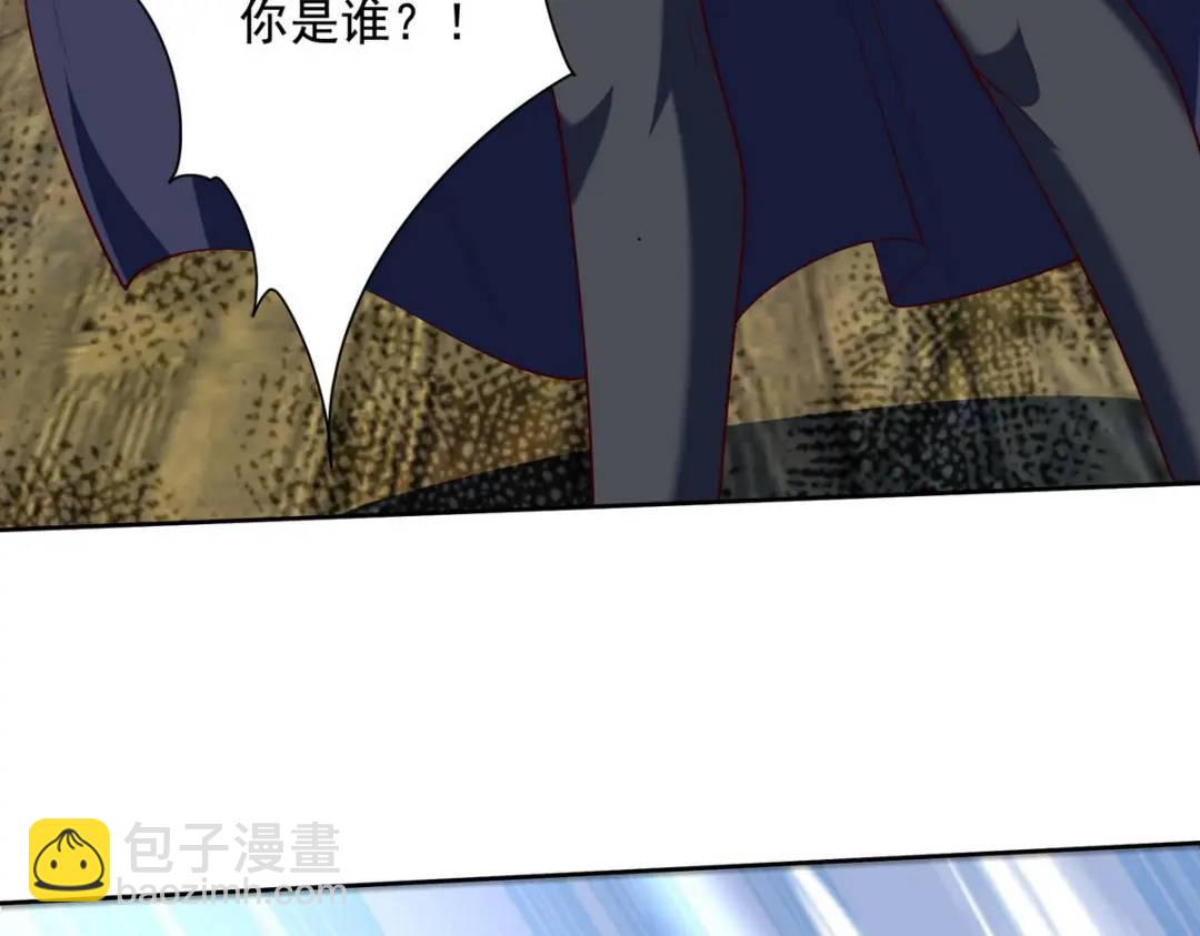 222 切茜雅归来29