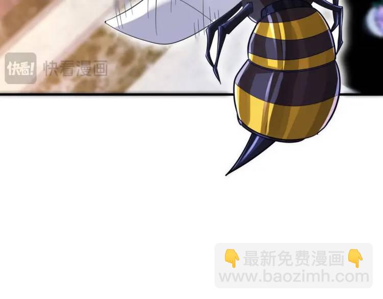 255 黄金之王大会95